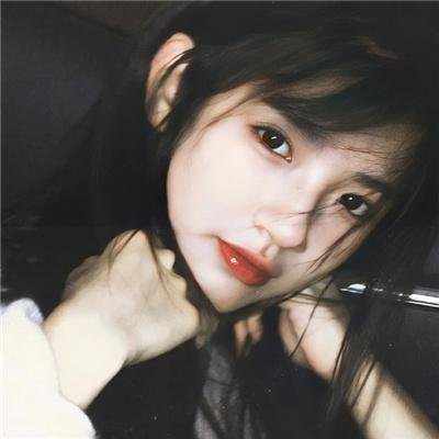 鲨与鲸